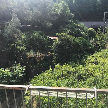 Emilio House Villa Levanto Exterior photo