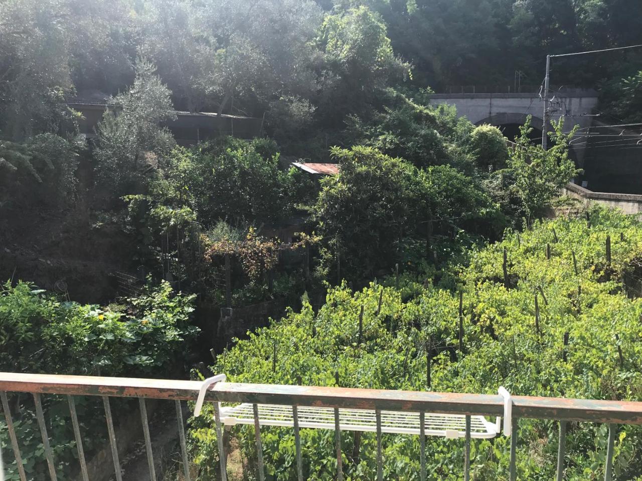 Emilio House Villa Levanto Exterior photo